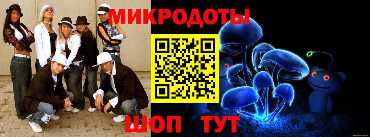 Псилоцибиновые грибы Psilocybine cubensis  Вход с VPN  Избербаш 
